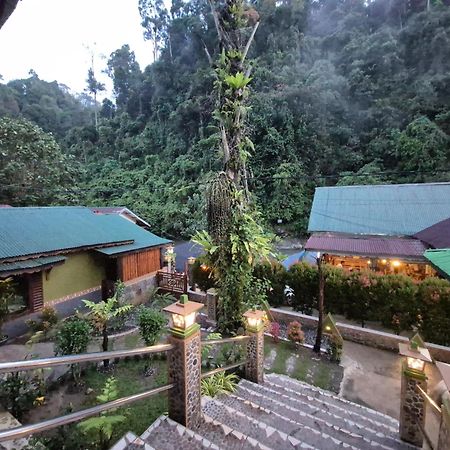 Sam'S Bungalows And Treks Bukit Lawang Exterior foto