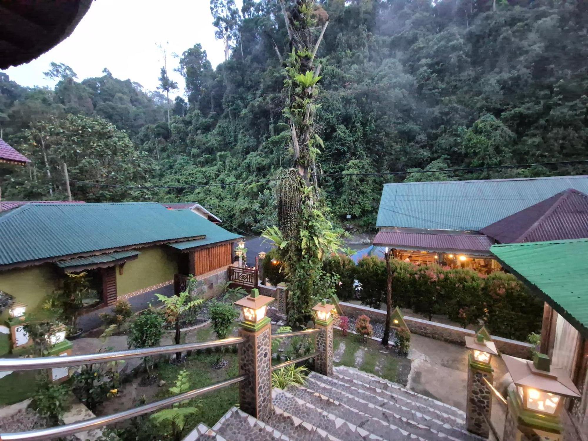 Sam'S Bungalows And Treks Bukit Lawang Exterior foto